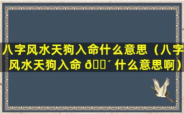 八字风水天狗入命什么意思（八字风水天狗入命 🐴 什么意思啊）